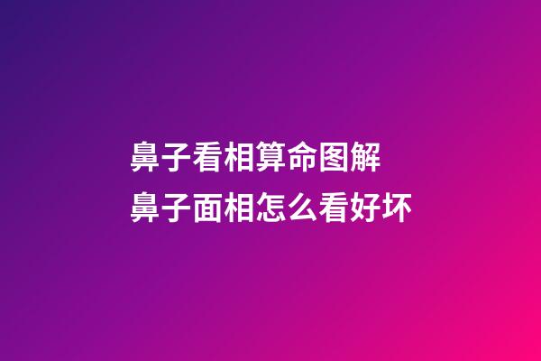 鼻子看相算命图解 鼻子面相怎么看好坏
